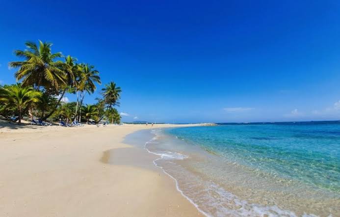 Tropical beach with palm trees and blue sea.