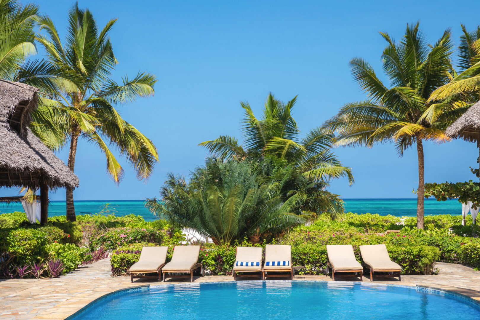 Tropical paradise with pool and palm trees